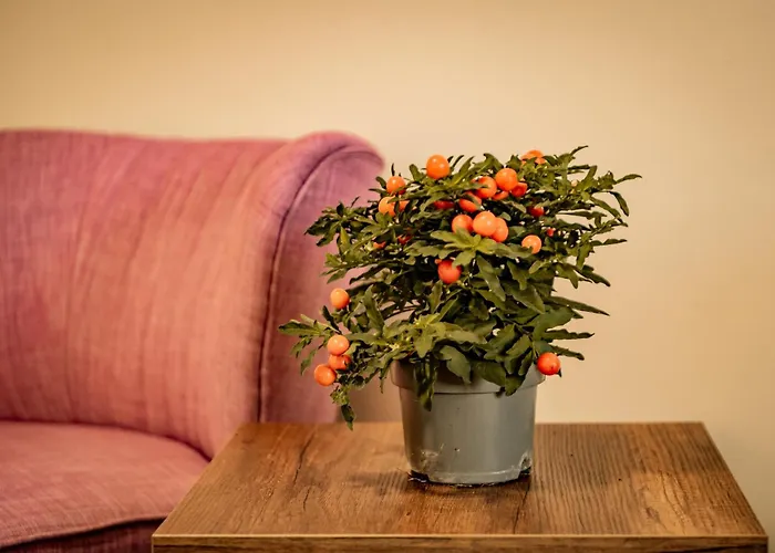 Country house σοχοσ παραδοσιακεσ οικιεσ - σαχνισί Sochos